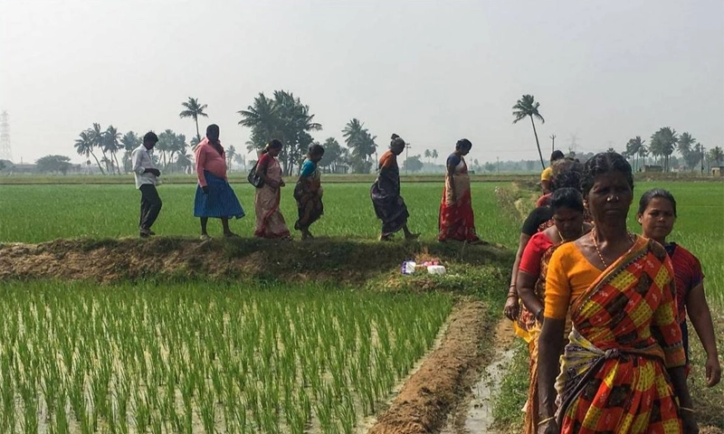 India sets date of population and caste census