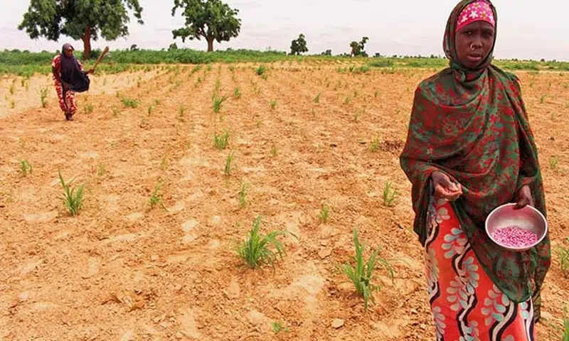 Food security: Nigeria imports to slash $1.5bn milk import bill