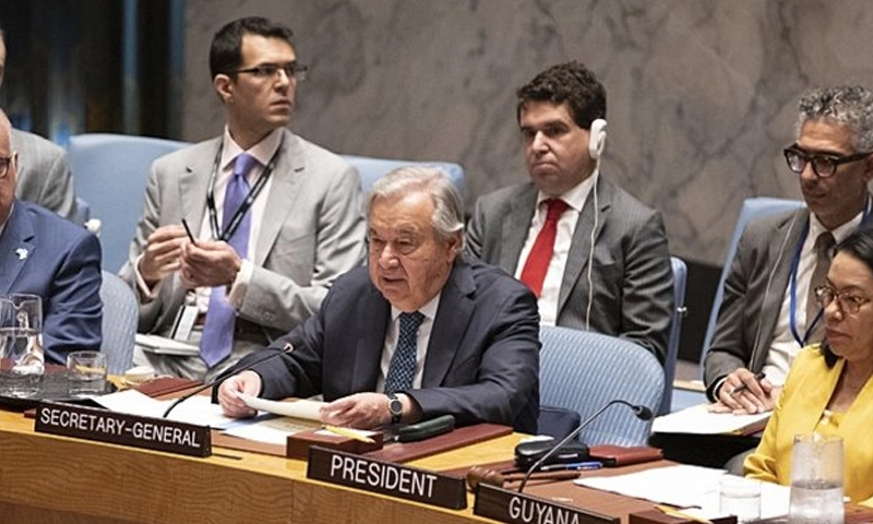 Security Council