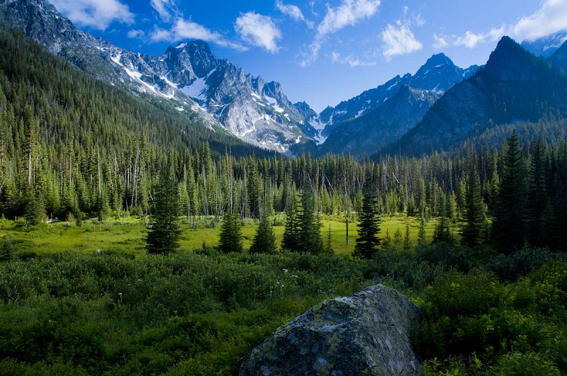 The US Department of Agriculture will rescind a Clinton-era policy that banned logging, roads and mining in undeveloped forests.
