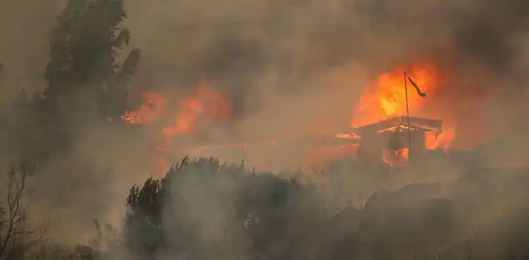 Chilas forest fire continues to rage on