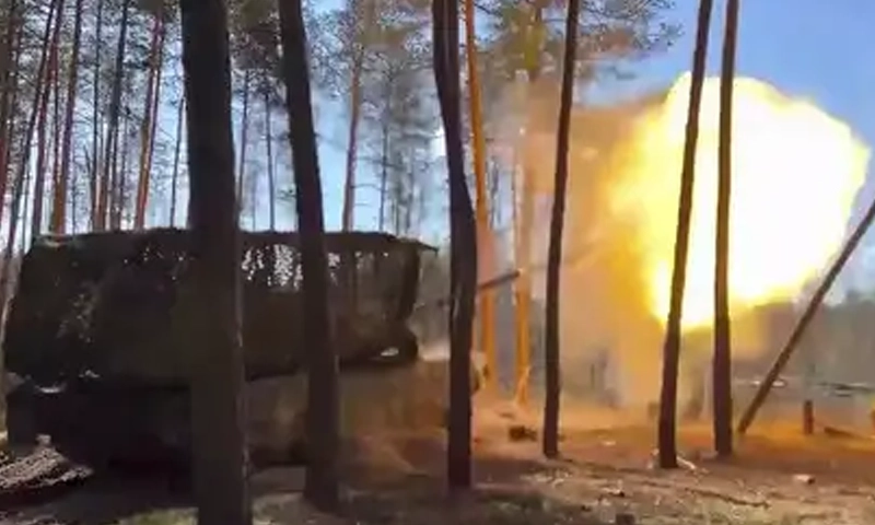 Ukraine's military