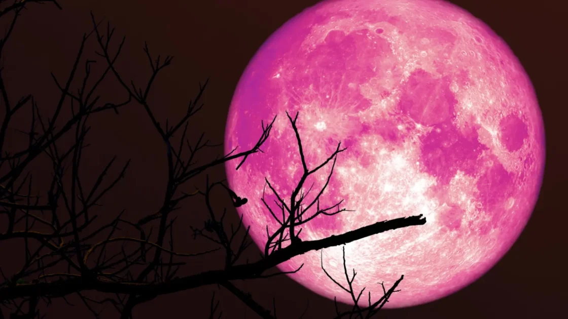 full strawberry moon