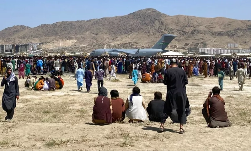 Afghans