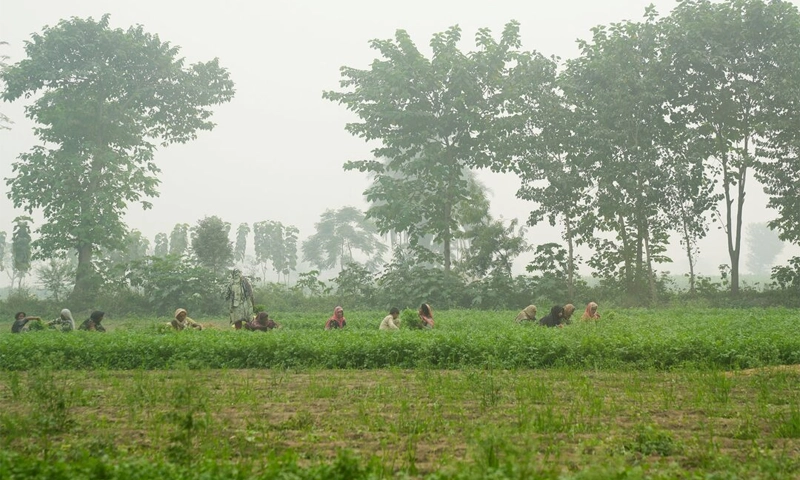 Urbanisation of farmland threatening food security: Ahsan Iqbal
