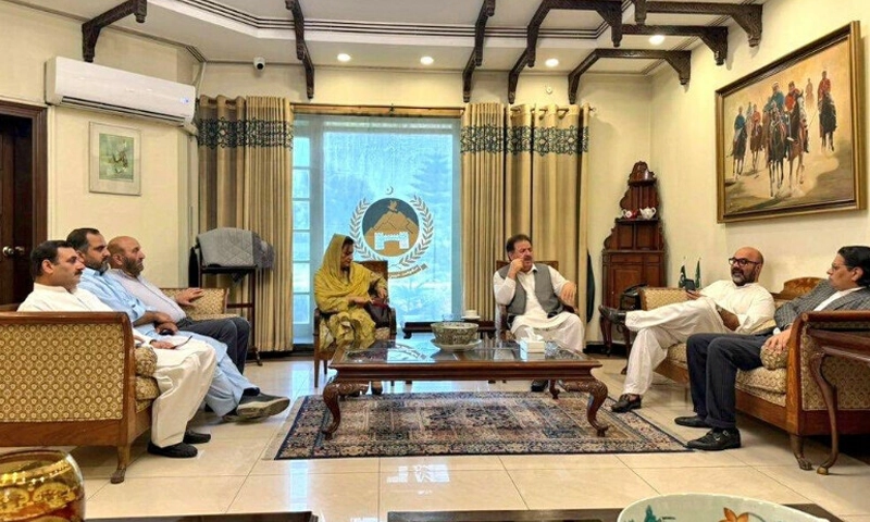 PTI Senate ticket