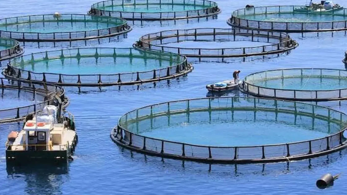 Pakistan fisheries