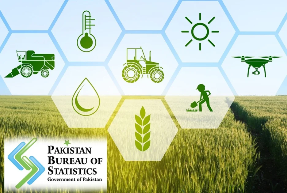 agricultural census
