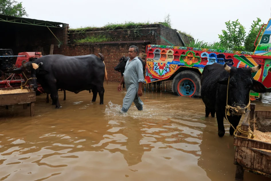 Punjab floods