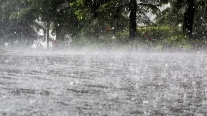 PDMA warns of heavy rains in upper Punjab