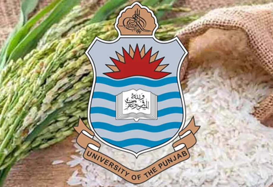 Punjab University