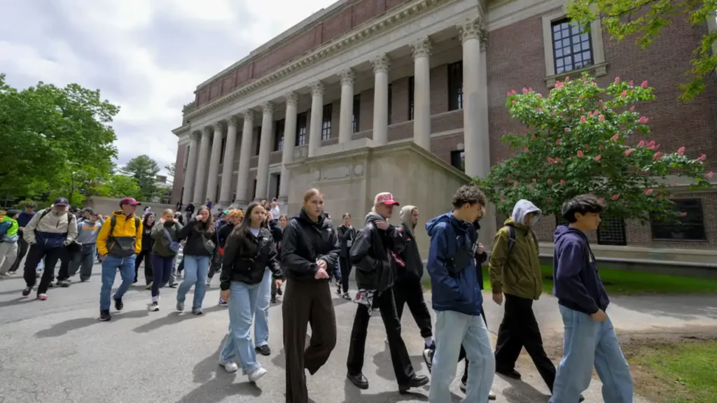 Trump Harvard grant