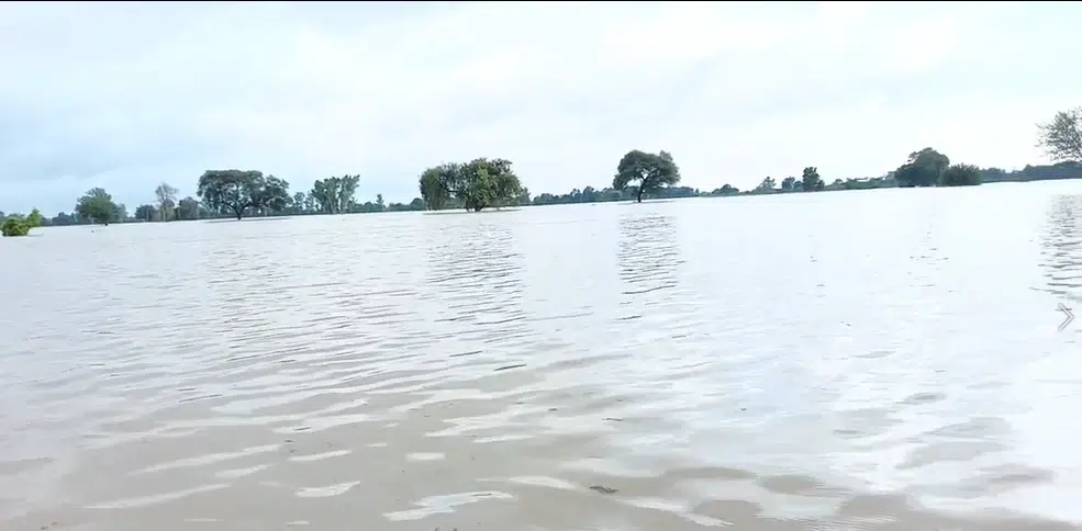 Punjab braces for major floods