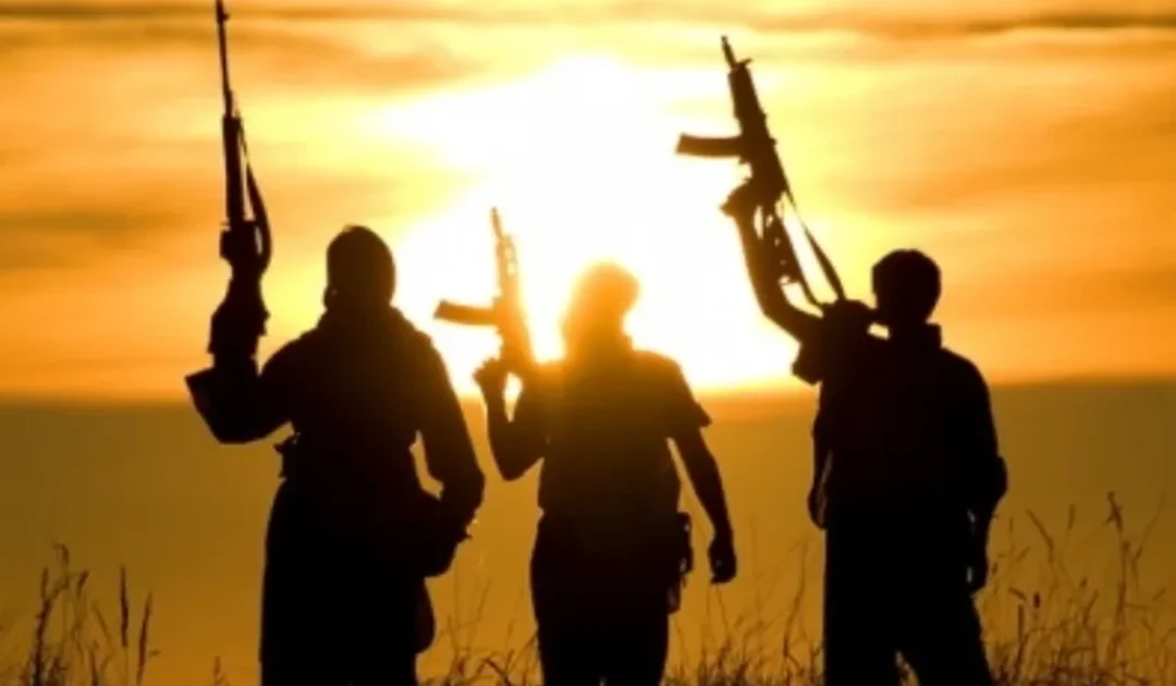 Militant attacks in Pakistan