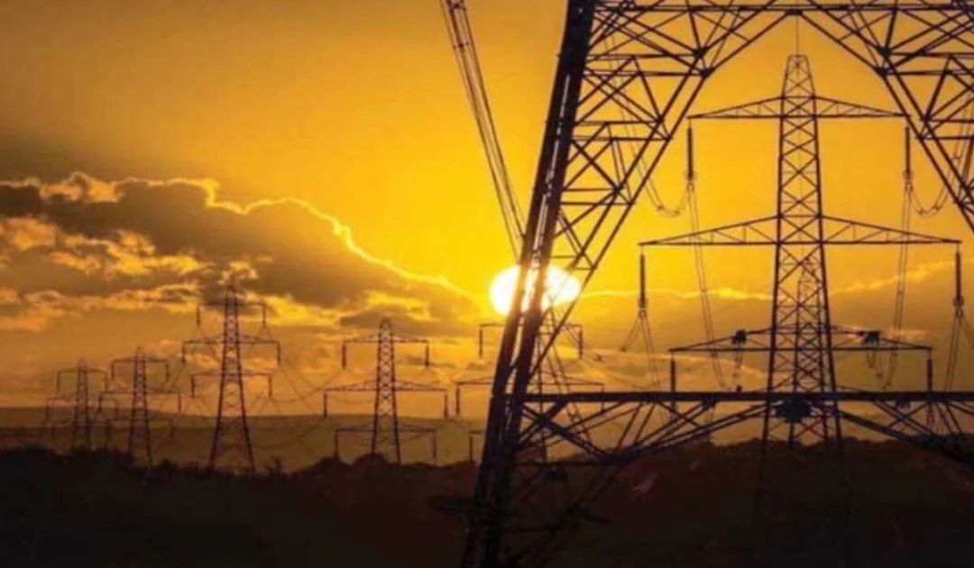 power sector privatisation