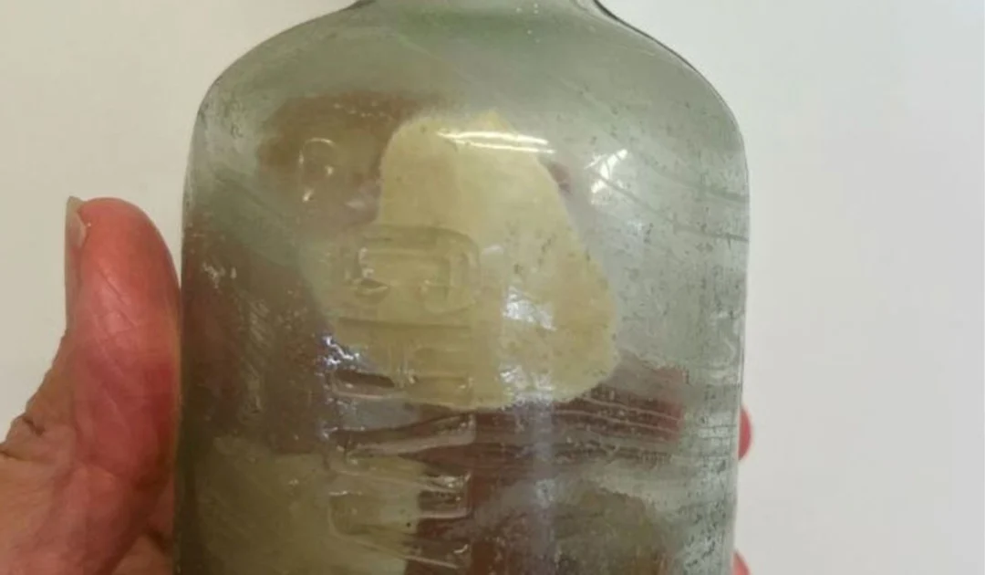 Letters of two WWI Australian soldiers found on beach