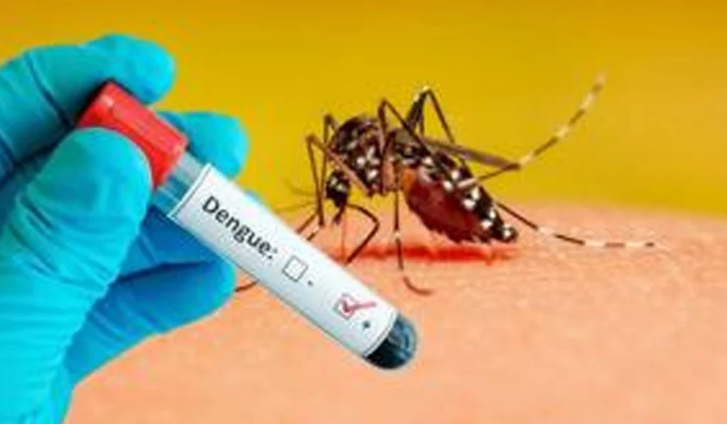 Dengue cases