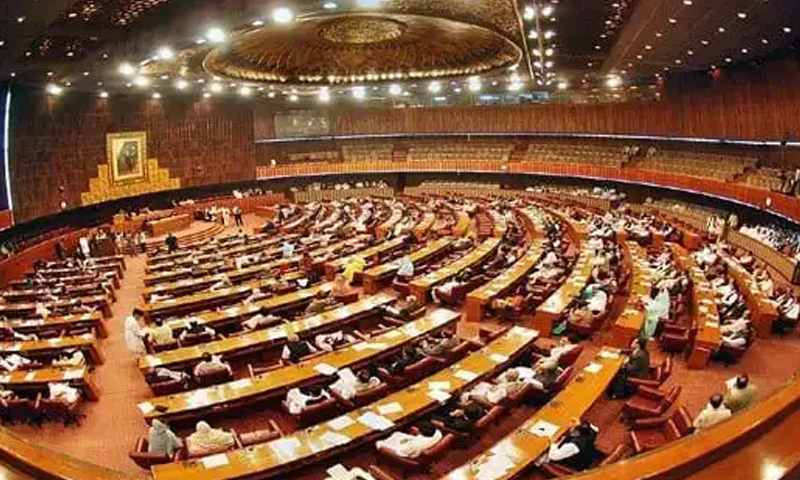 FAFEN report