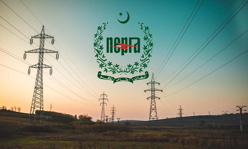 Nepra fines discos