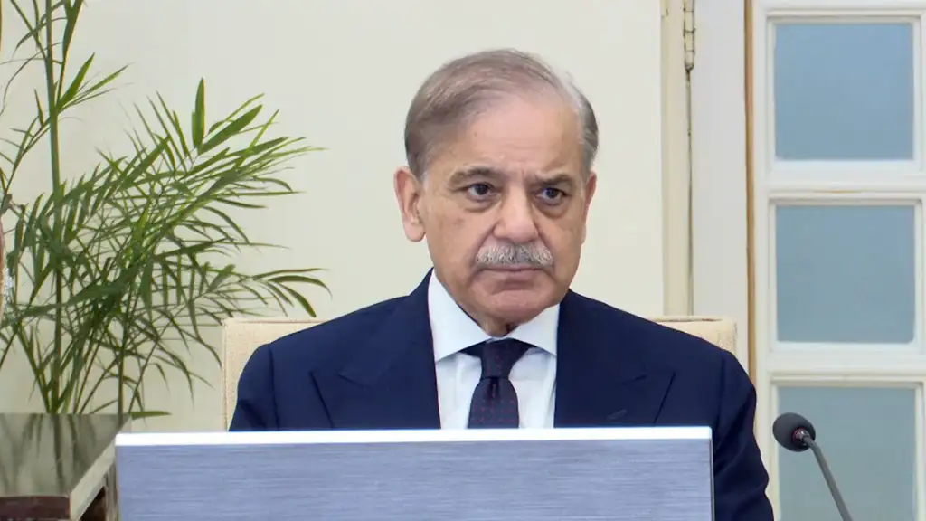 PM Shehbaz on privatisation
