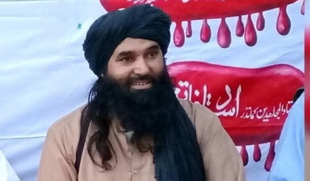 TTP deputy chief Qari Amjad among those killed in Bajaur operation
