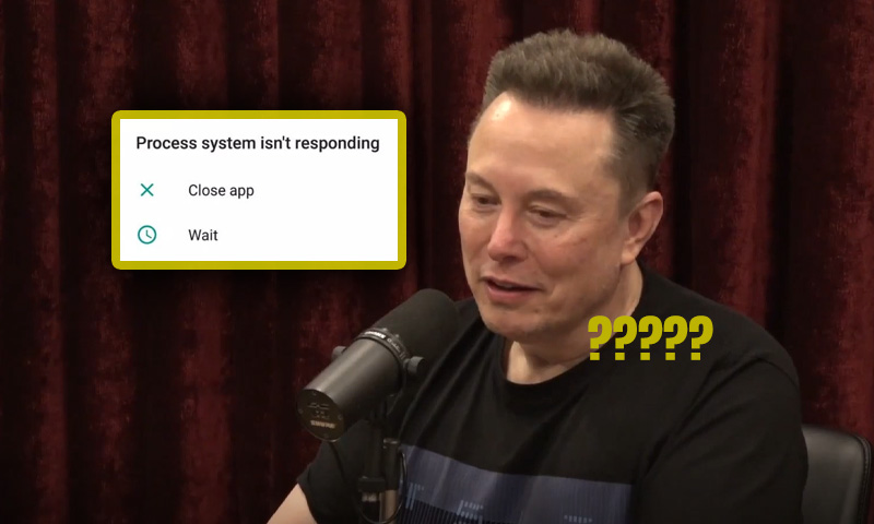 Elon Musk on Zohran Mamdani