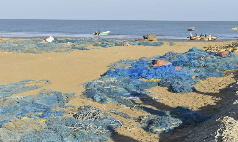 Oil smuggling, plastic pollution threaten rare marine life in Balochistan