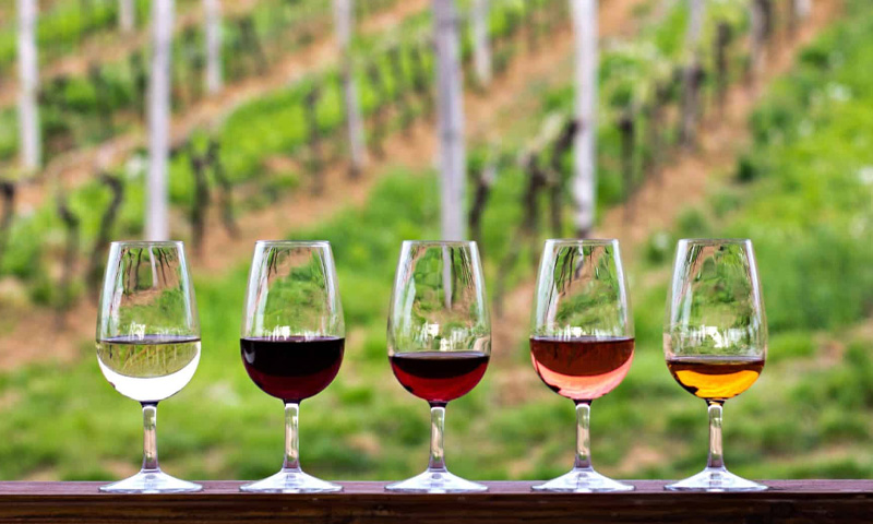 Saudi Arabia's wineries