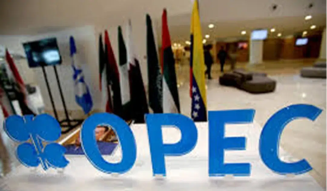 Market share: OPEC+ set for another oil output increase