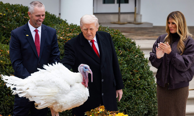 Turkey pardon