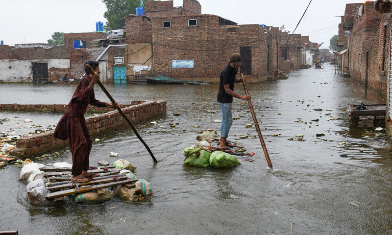 Climate disinformation