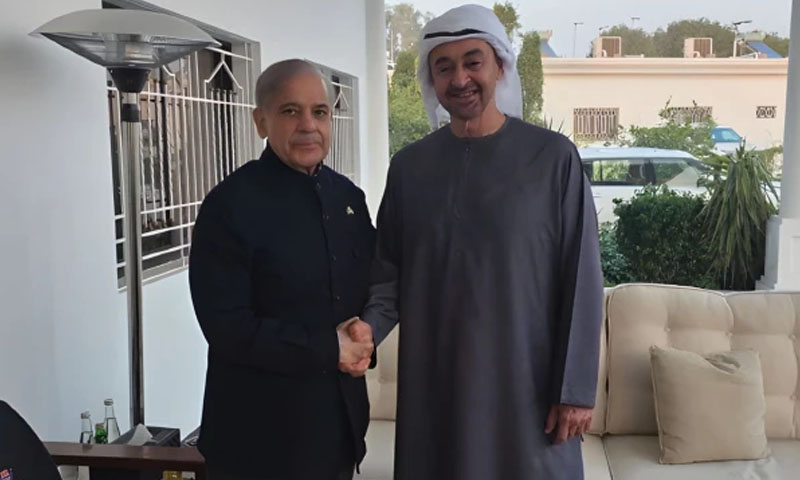 Shahbaz Sharif, UAE President Sheikh Mohammed discuss defence, trade