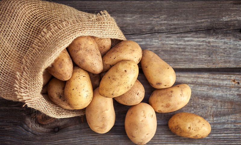 Stakeholders push for lifting Russian ban on Pakistani potatoes